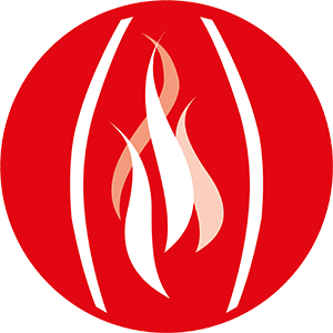 Intumescent Wood Filler - Envirograf - International Passive Fire Ltd